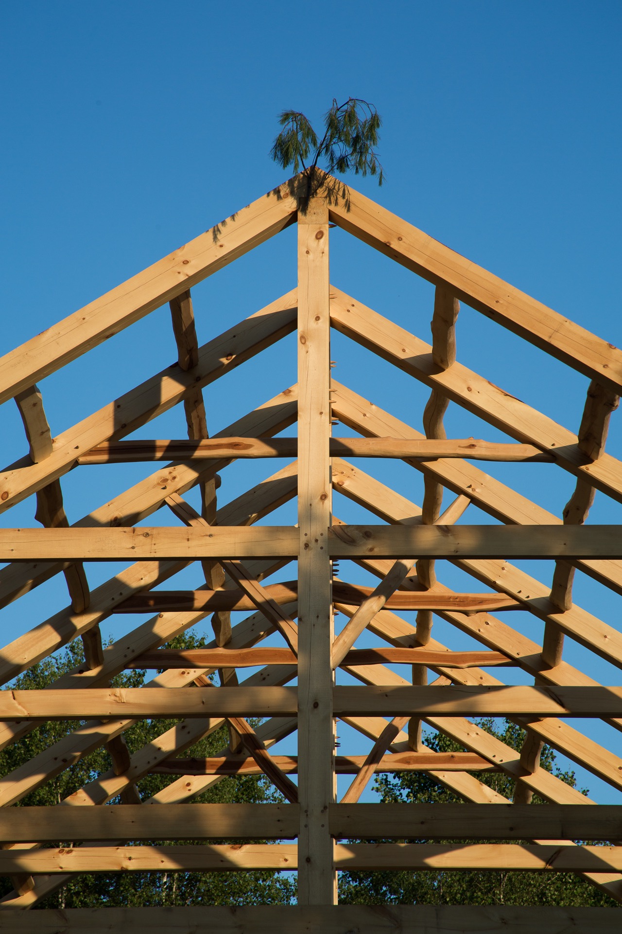 goosewing-timberworks-plotsky-frame1-27