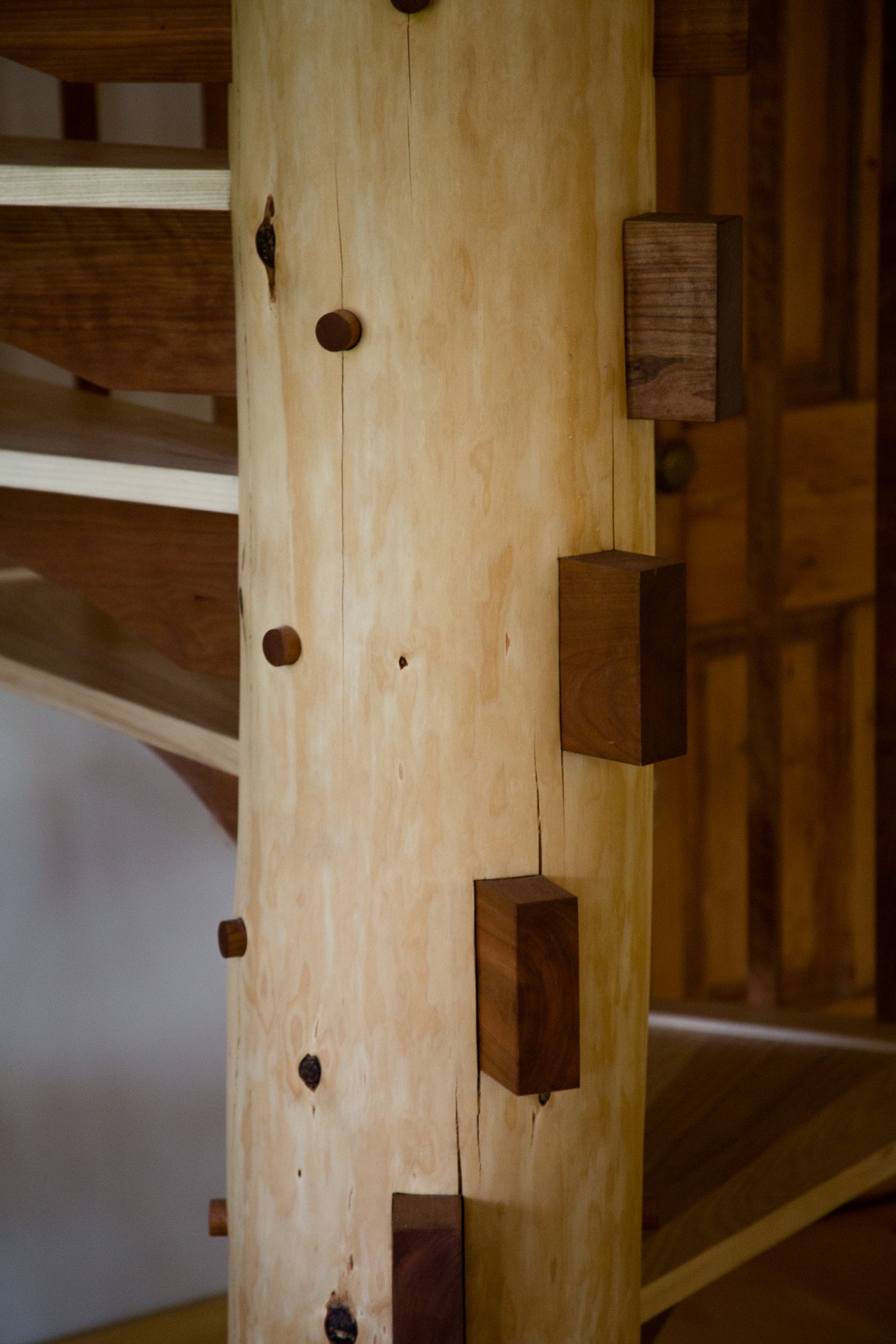 Plotsky Timberframe -8